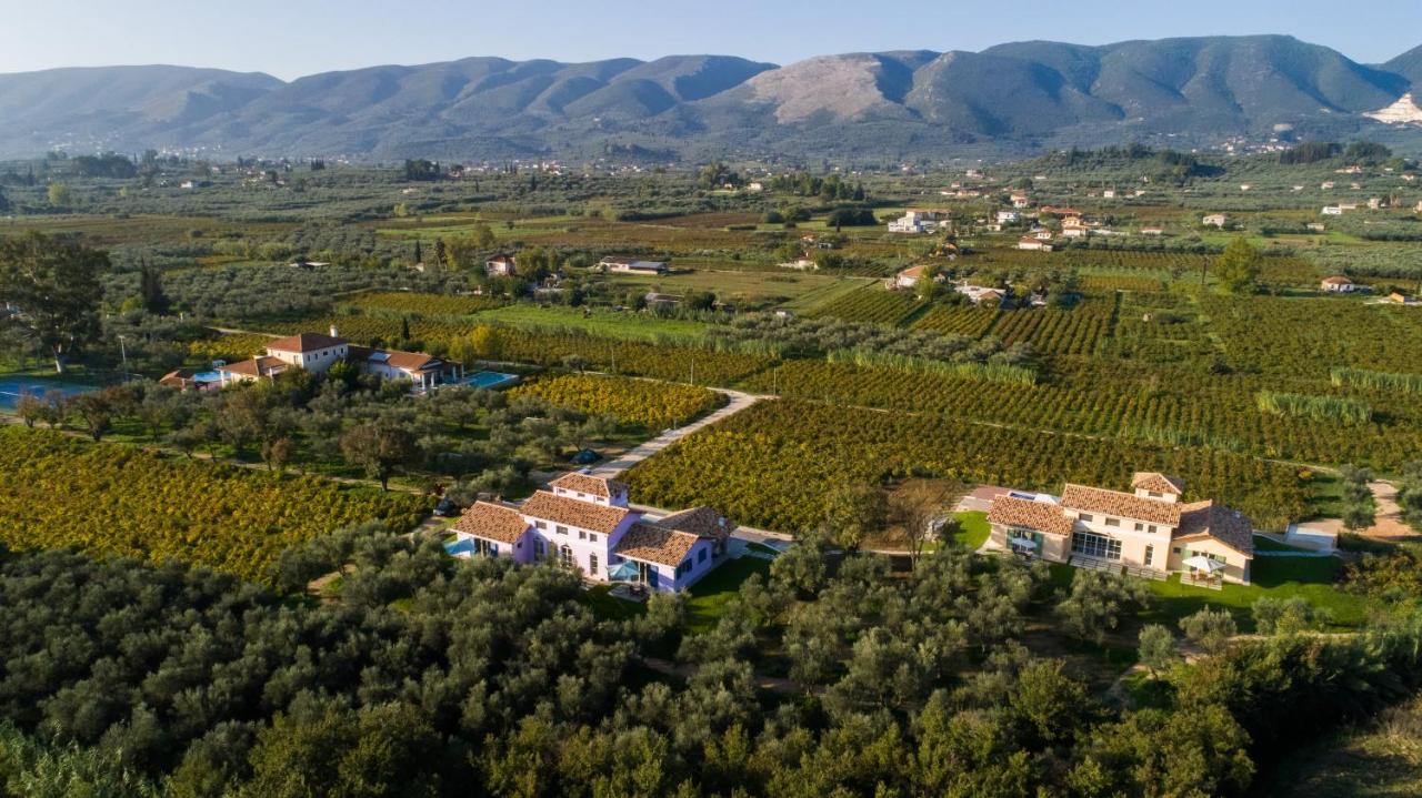 Aneli Luxury Villas - Villa Semeli Áyios Kírikos Εξωτερικό φωτογραφία
